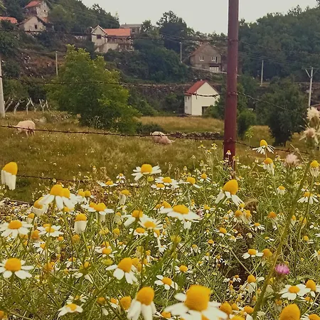Konak Ugnji-Village Cetinje Exterior photo