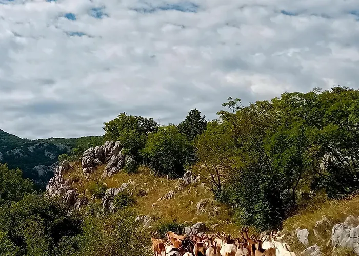 Konak Ugnji-Village