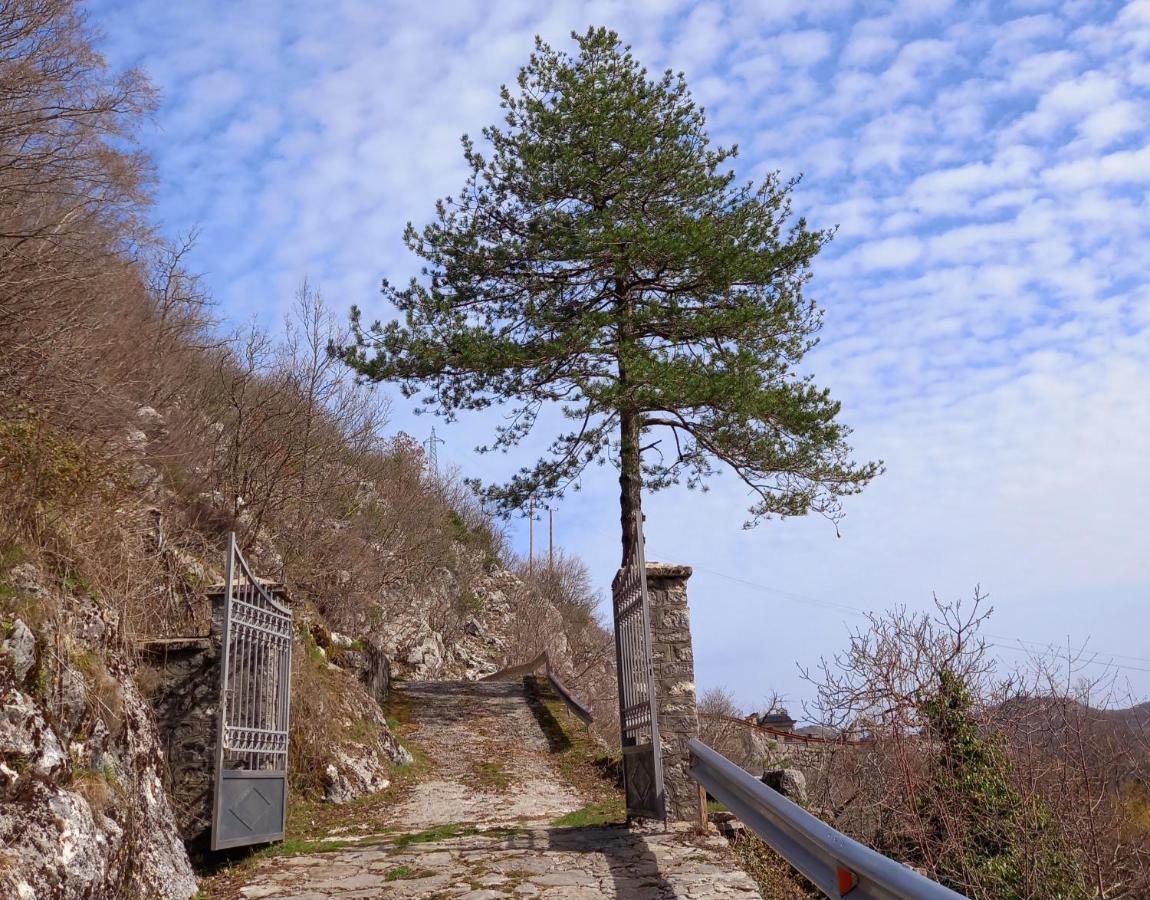 Ugnji-village Holiday home Cetinje