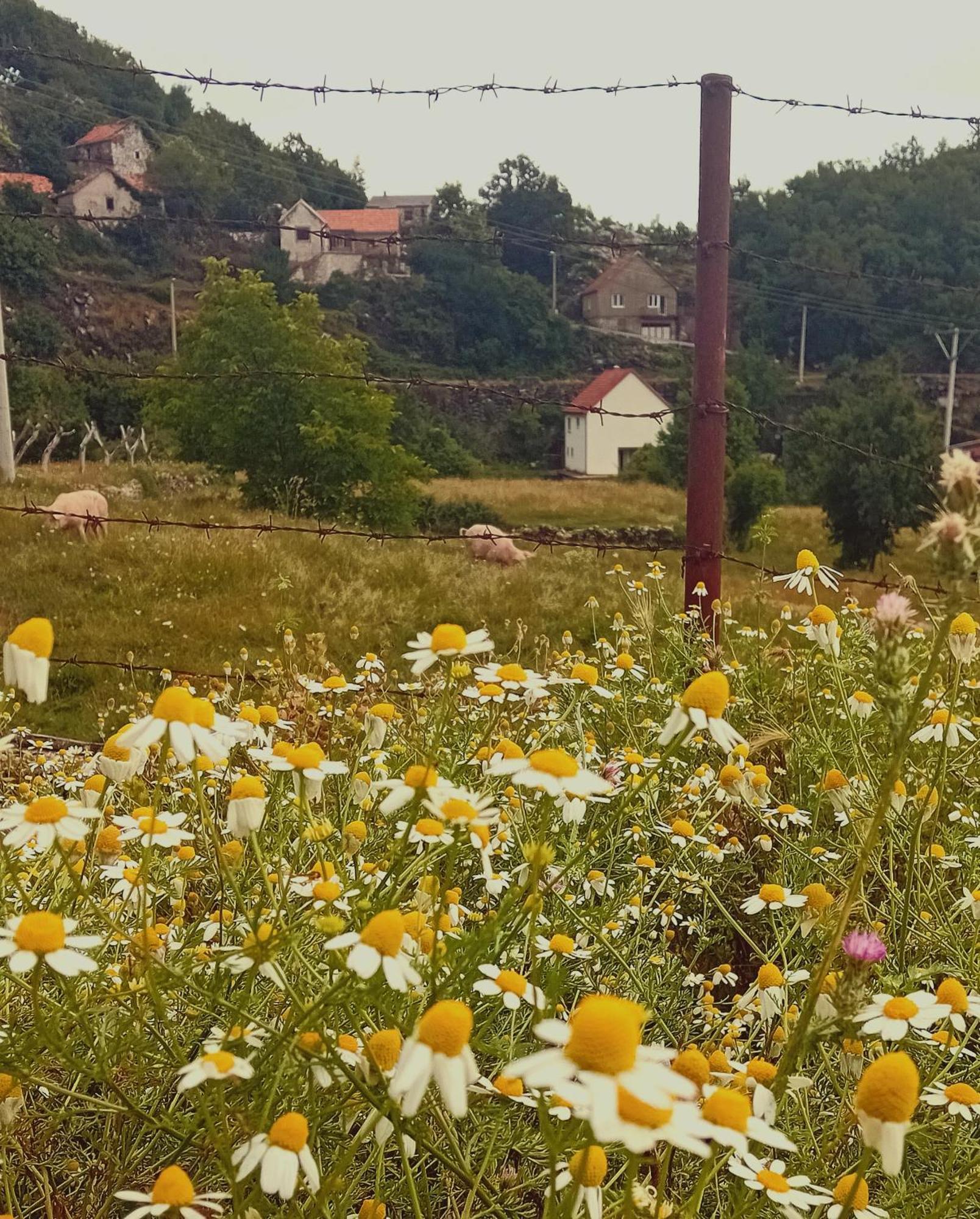 Ugnji-village Holiday home