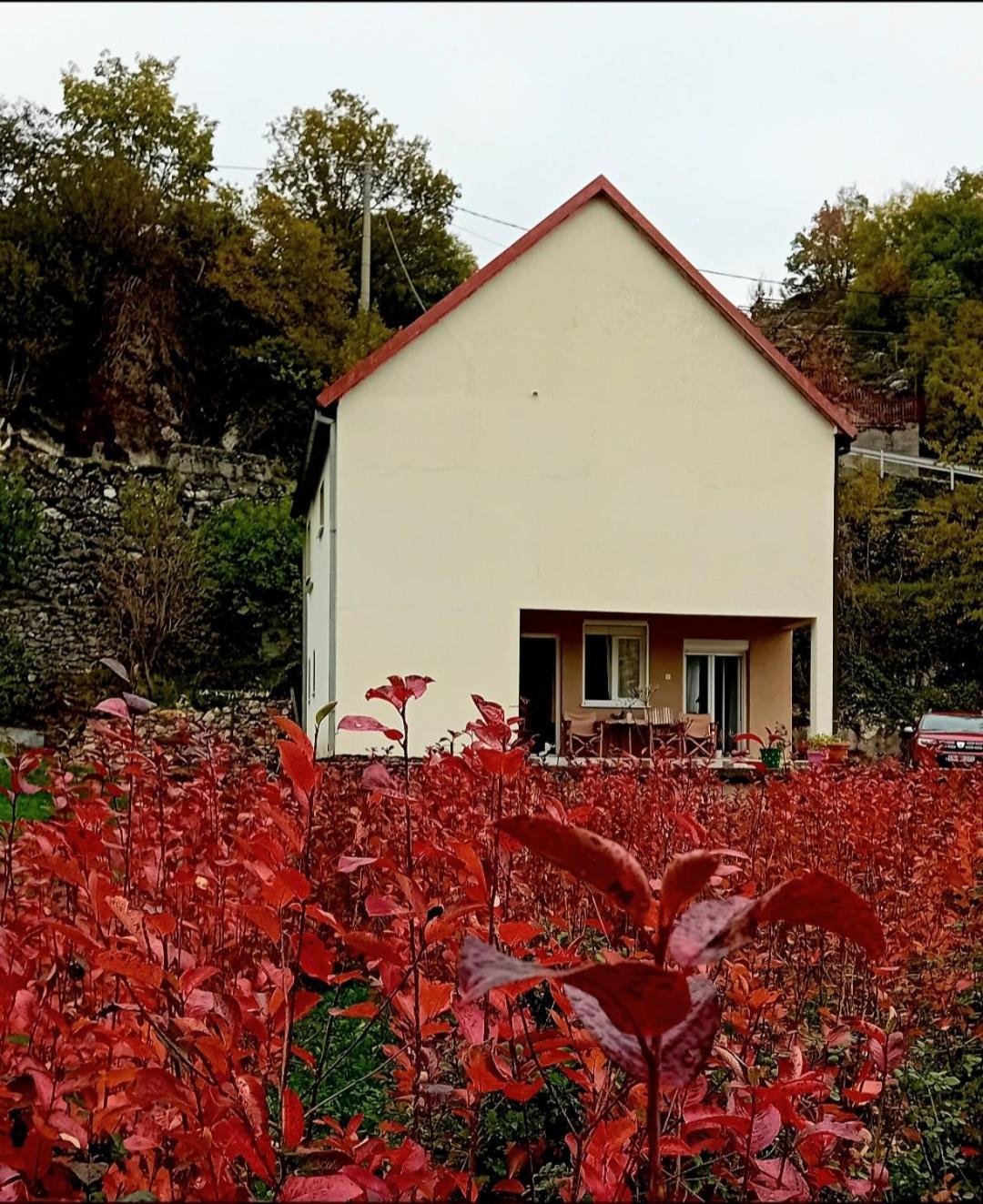 Ugnji-village * Cetinje